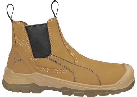 PUMA Tanami Wheat